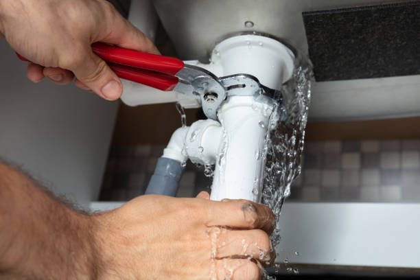 Best Sewage cleanup and water damage restoration  in Tonopah, NV