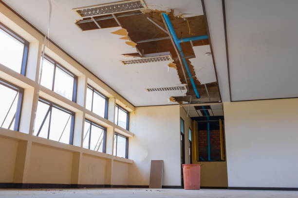 Best Carpet water damage restoration  in Tonopah, NV