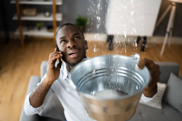 Best Commercial water damage restoration  in Tonopah, NV