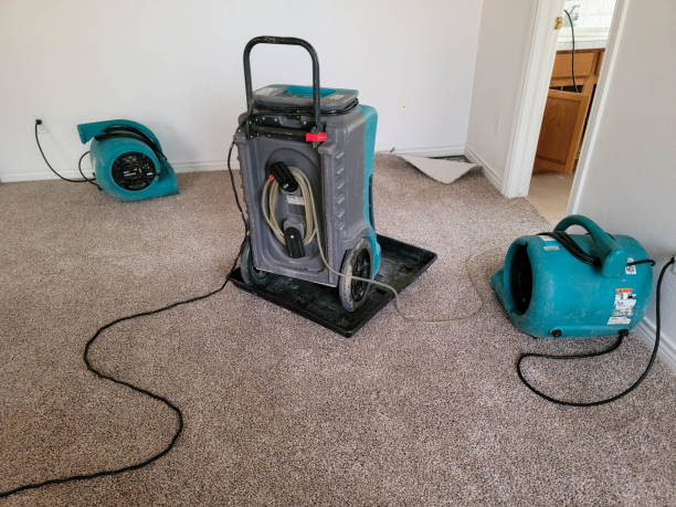 Best Carpet water damage restoration  in Tonopah, NV