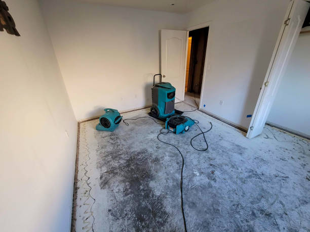 Best Water damage contractors near me  in Tonopah, NV
