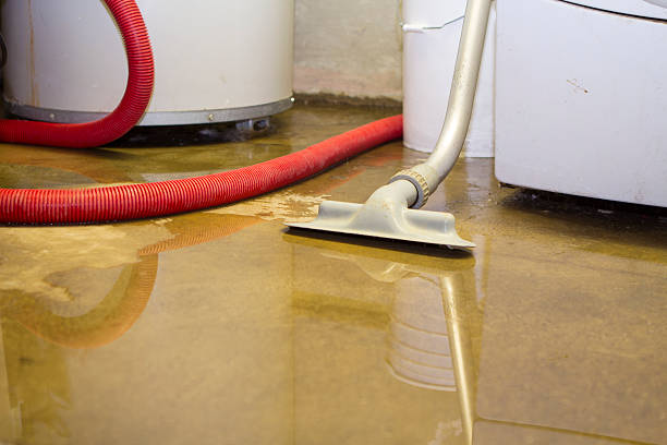 Best Basement water damage restoration  in Tonopah, NV