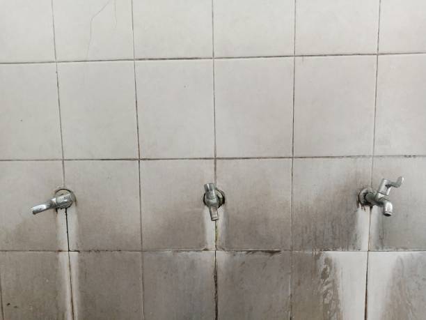 Best 24/7 water damage repair  in Tonopah, NV