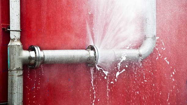 Best Sewage cleanup and water damage restoration  in Tonopah, NV